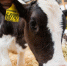 Волгоградская правда - Газета Волгоградская правда