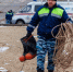 46 тел извлекли волгоградские спасатели из водоемов - Газета Городские вести