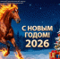 Поздравление с Новым 2026 годом и Рождеством! - Волгоградский ЦСМ