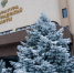 В Волгоградской области жена бойца СВО незаконно потратила 3 млн рублей выплат - Родной город Волгоград