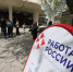 Волгоградцам подсказали лучшие месяцы для эффективного поиска работы - Родной город Волгоград