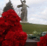 Память о мужестве защитников Сталинграда навсегда в наших сердцах - Городская Дума