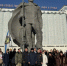 PNG Файл - УМВД по Волгограду 