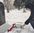 Акция «Красная гвоздика Сталинграда» объединяет поколения. - Федерация самбо