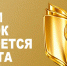 ЗИВШ - ВолГУ