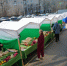 В Волгограде накануне 8 Марта начался цветочный ажиотаж - Газета Волгоградская правда