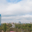 В Волгограде пройдет молодежный фестиваль национальных культурных объединений - Газета Вечерний Волгоград