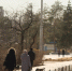 В Волгограде увековечат наследие известного археолога Владислава Мамонтова - Газета Вечерний Волгоград
