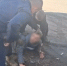 В Волгограде администраторы интернет-канала вымогали деньги - Волга-Медиа