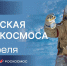 65-летие первого полета человека в космос: волгоградские учреждения культуры подготовили познавательные программы - Администрация области
