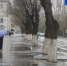 На Пасху в Волгоградской области ожидаются дожди, грозы и порывистый ветер - Volganet.Net