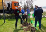 Свыше 8 тысяч жителей Волгограда приняли участие в общегородском субботнике