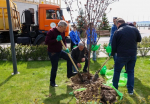 Более 8 тысяч волгоградцев вышли на общегородской субботник