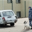 Волгоградская правда - Газета Волгоградская правда