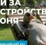 Жителям Волгоградской области предлагают проголосовать за объекты для благоустройства - Volganet.Net