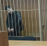 Мужчину осудили за склонение юноши к употреблению наркотиков в Волгограде - Газета Городские вести