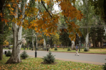 Волгоградская правда